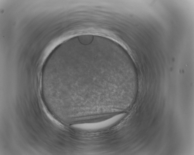 X0000086031515200704201933