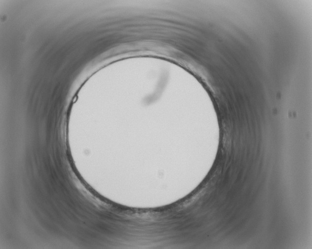 X0000086031516200704201933