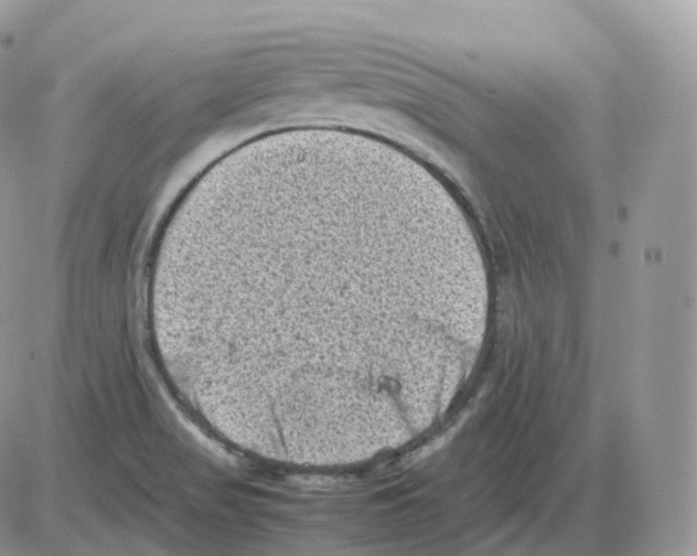 X0000086031517200704201933