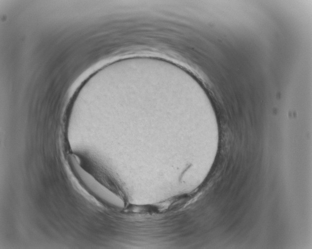 X0000086031518200704201933