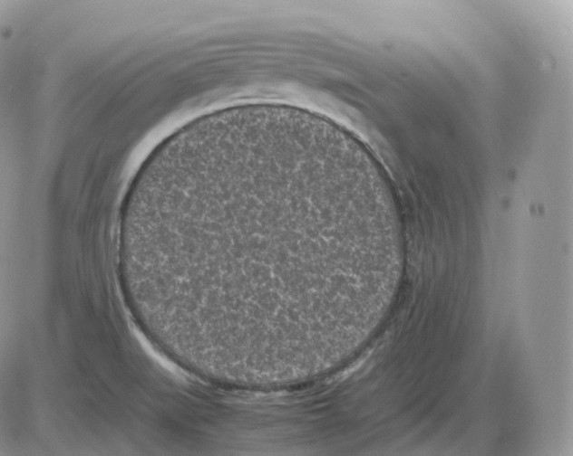 X0000086031519200704201933