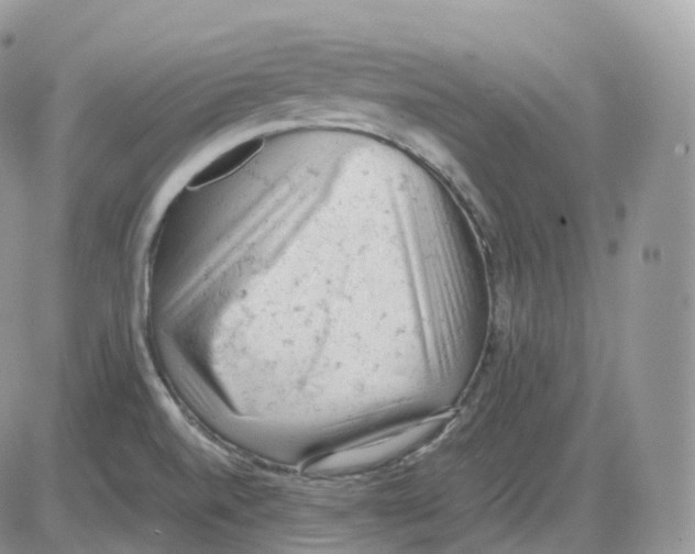 X0000086031520200704201933