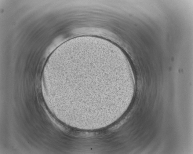 X0000086031521200704201933