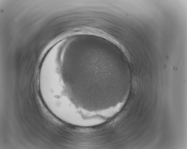 X0000086031522200704201933