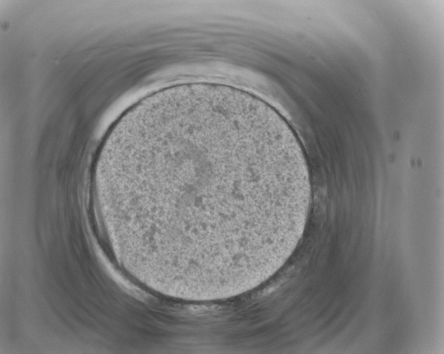 X0000086031523200704201933