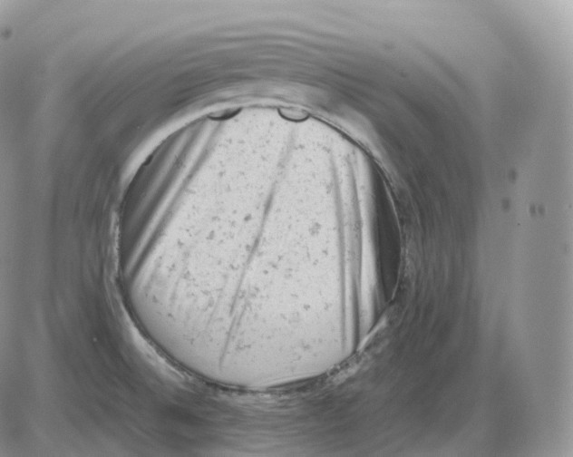 X0000086031524200704201933