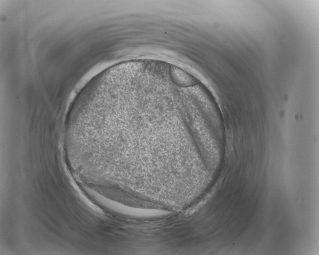 X0000086031525200704201933