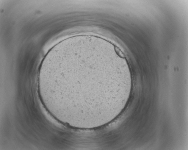 X0000086031526200704201933