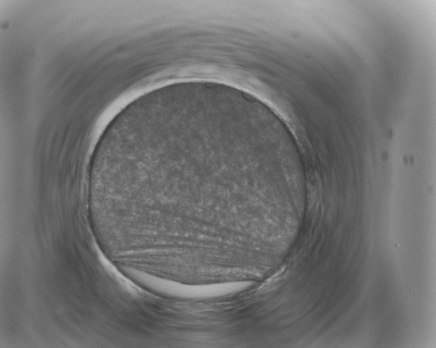 X0000086031527200704201933