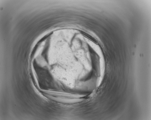 X0000086031528200704201933