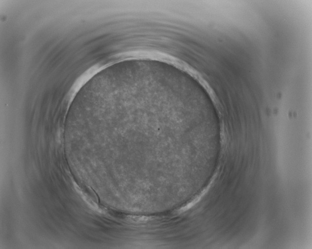 X0000086031529200704201933