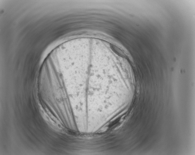 X0000086031530200704201933