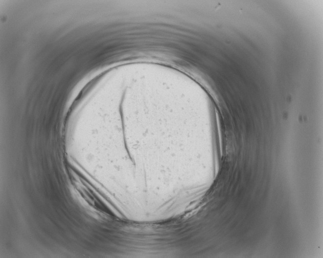 X0000086031532200704201933