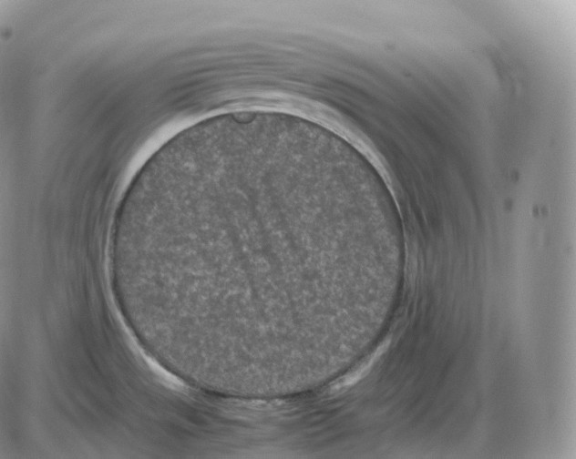 X0000086031533200704201933