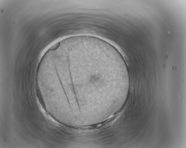 X0000086031534200704201934