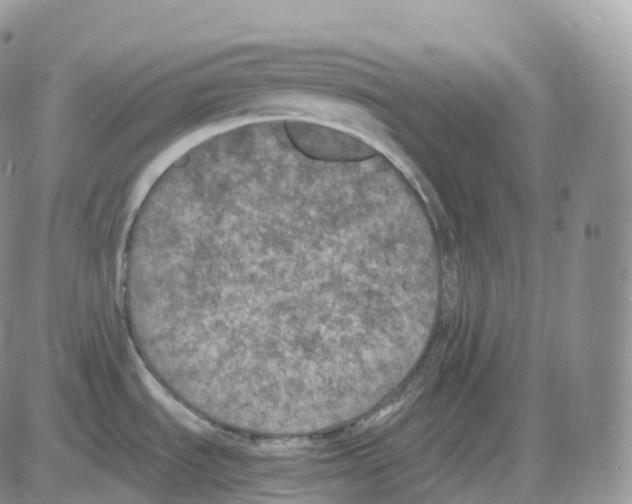 X0000086031535200704201934