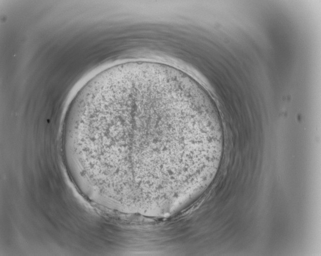 X0000086031536200704201934