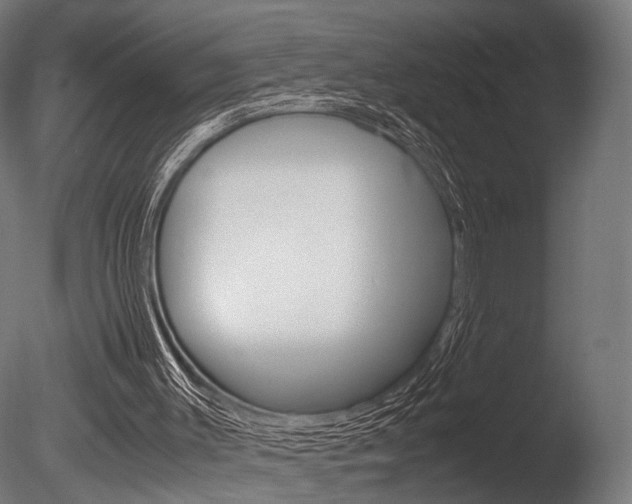 X0000086040003200703230906