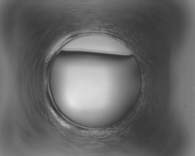 X0000086040005200703230906