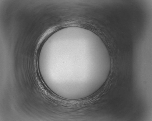 X0000086040006200703230906