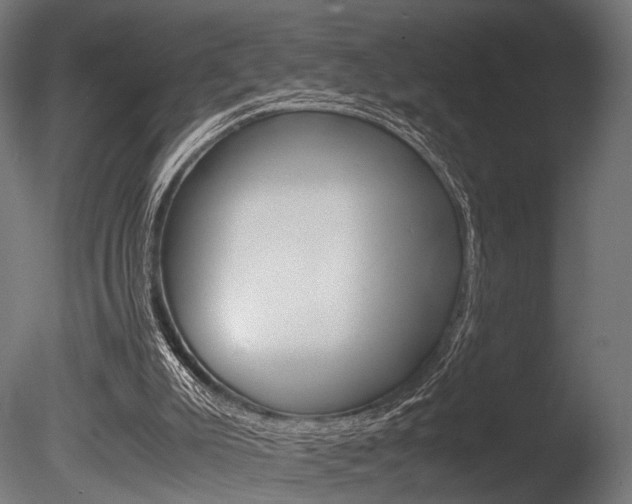 X0000086040007200703230906