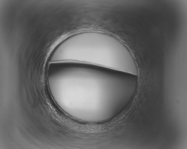 X0000086040008200703230906