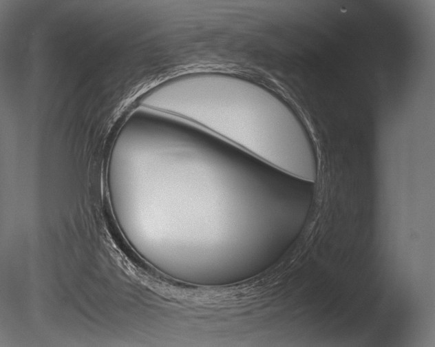 X0000086040011200703230906