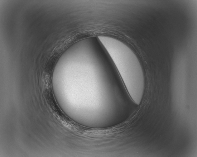 X0000086040025200703230906