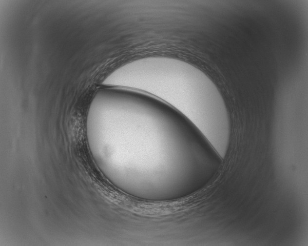 X0000086040029200703230906