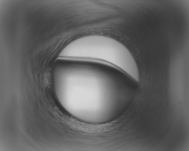 X0000086040035200703230906