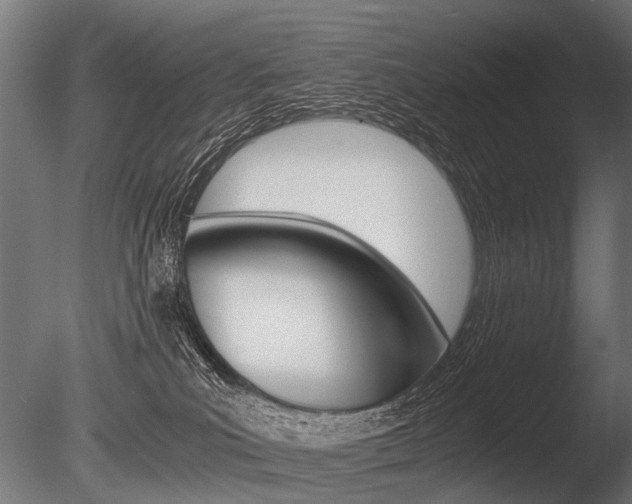 X0000086040039200703230906