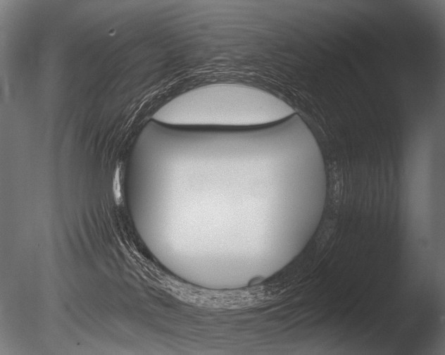 X0000086040042200703230906