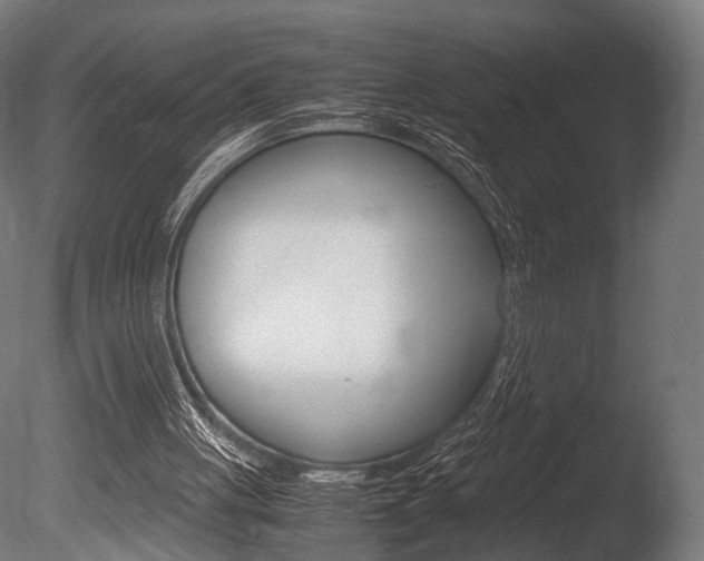 X0000086040051200703230905