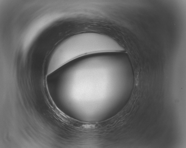 X0000086040052200703230905