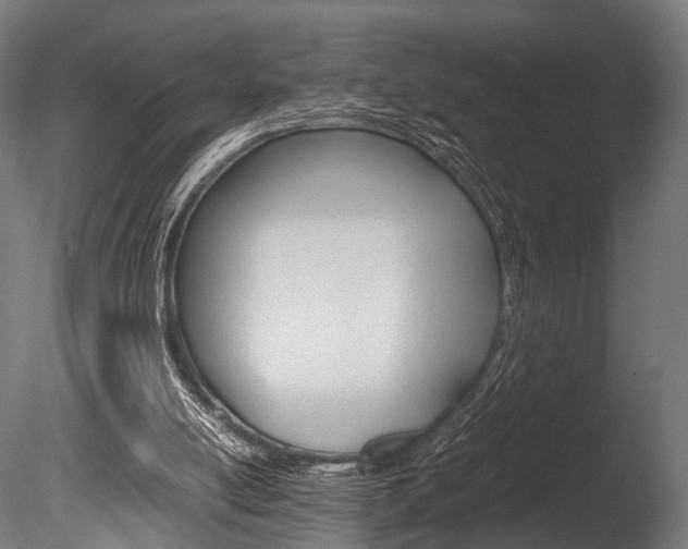 X0000086040054200703230905