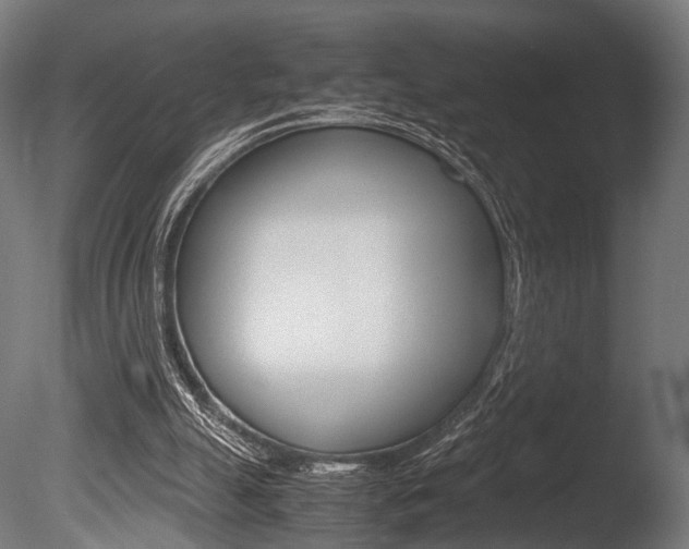 X0000086040055200703230905
