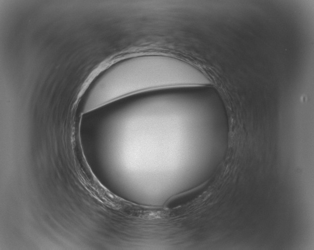 X0000086040056200703230905