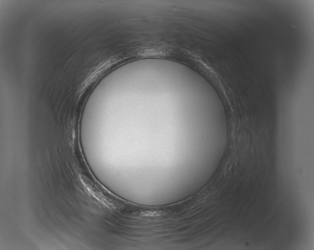 X0000086040059200703230905