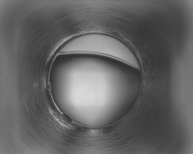 X0000086040060200703230905
