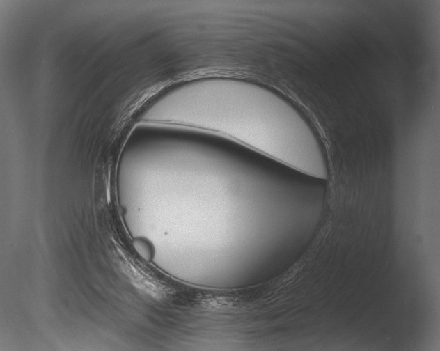 X0000086040062200703230905