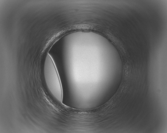 X0000086040064200703230905