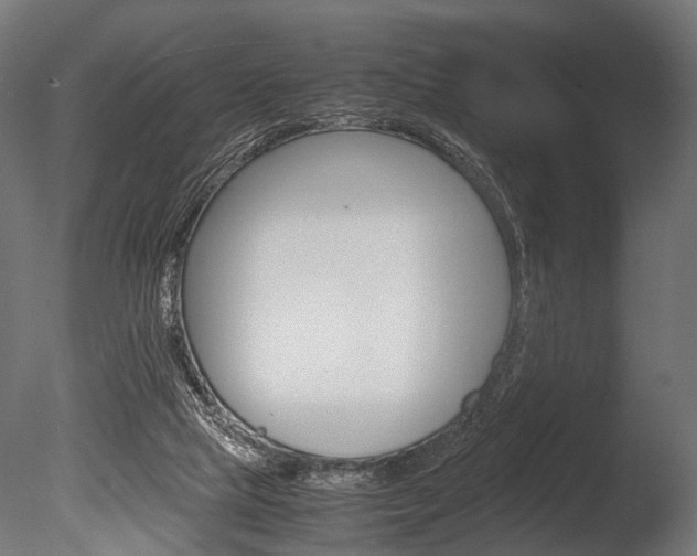 X0000086040065200703230905