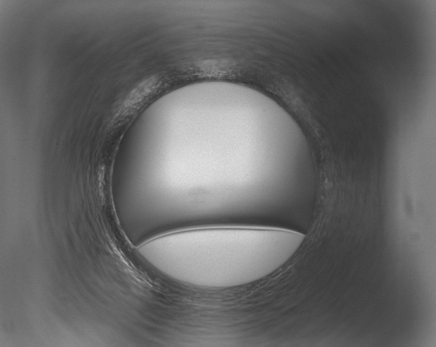 X0000086040066200703230905