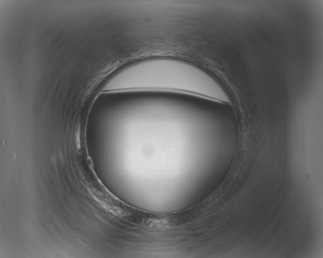 X0000086040068200703230905