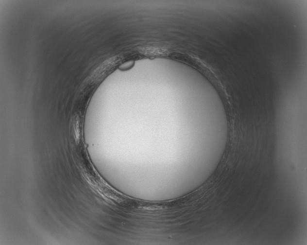 X0000086040069200703230905