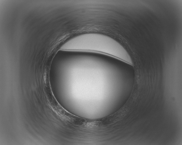 X0000086040072200703230905