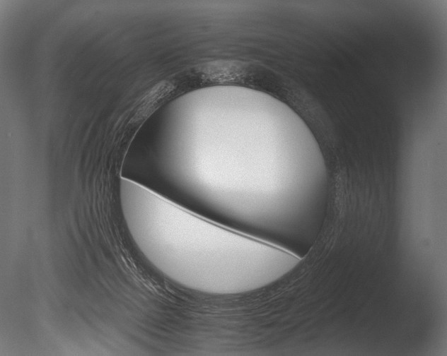 X0000086040073200703230905