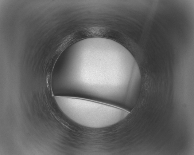 X0000086040075200703230905