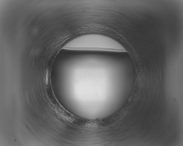 X0000086040076200703230905