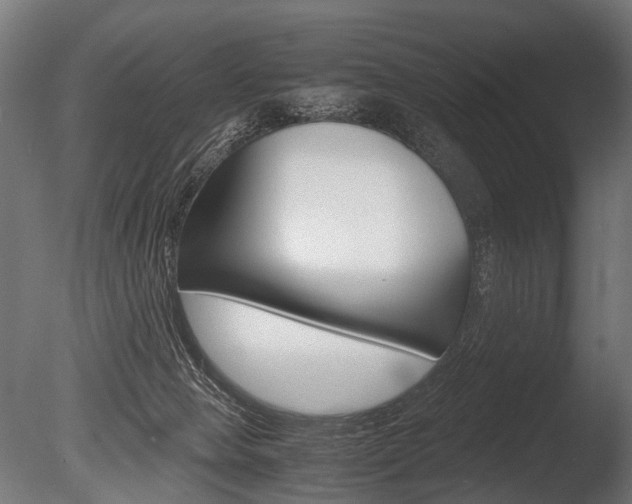X0000086040077200703230905